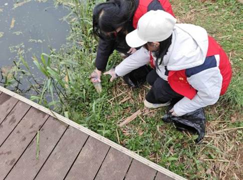 29361EB92965D75B0F16C6570C472EB8