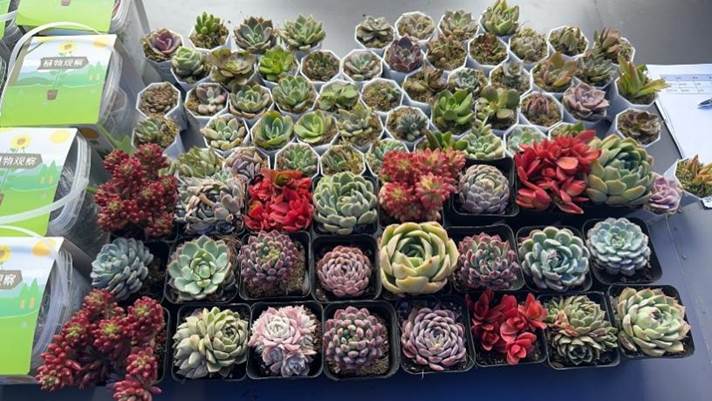 桌子上放着许多食物 AI 生成的内容可能不正确。