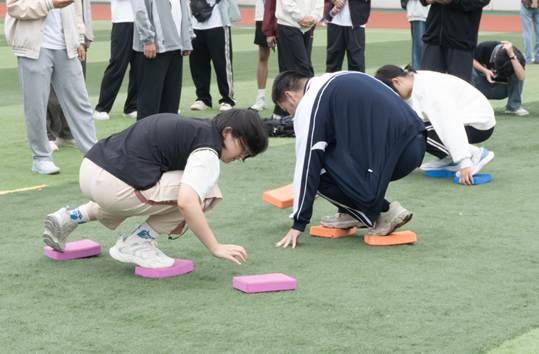 _DSC2540-已增强-NR